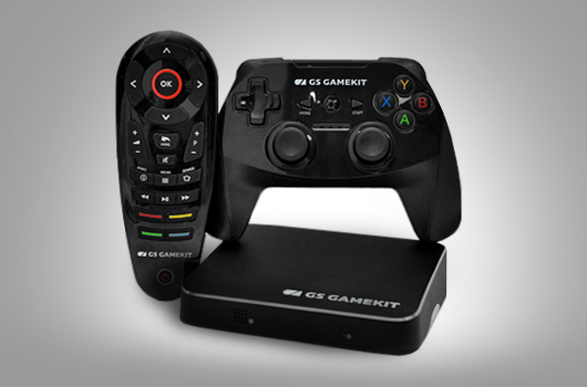 Игровая консоль GS Gamekit