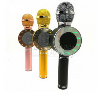  Magic Karaoke Wster WS-668