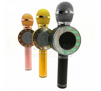 Микрофон Magic Karaoke Wster WS-668
