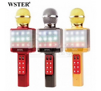  Magic Karaoke Wster WS-1828